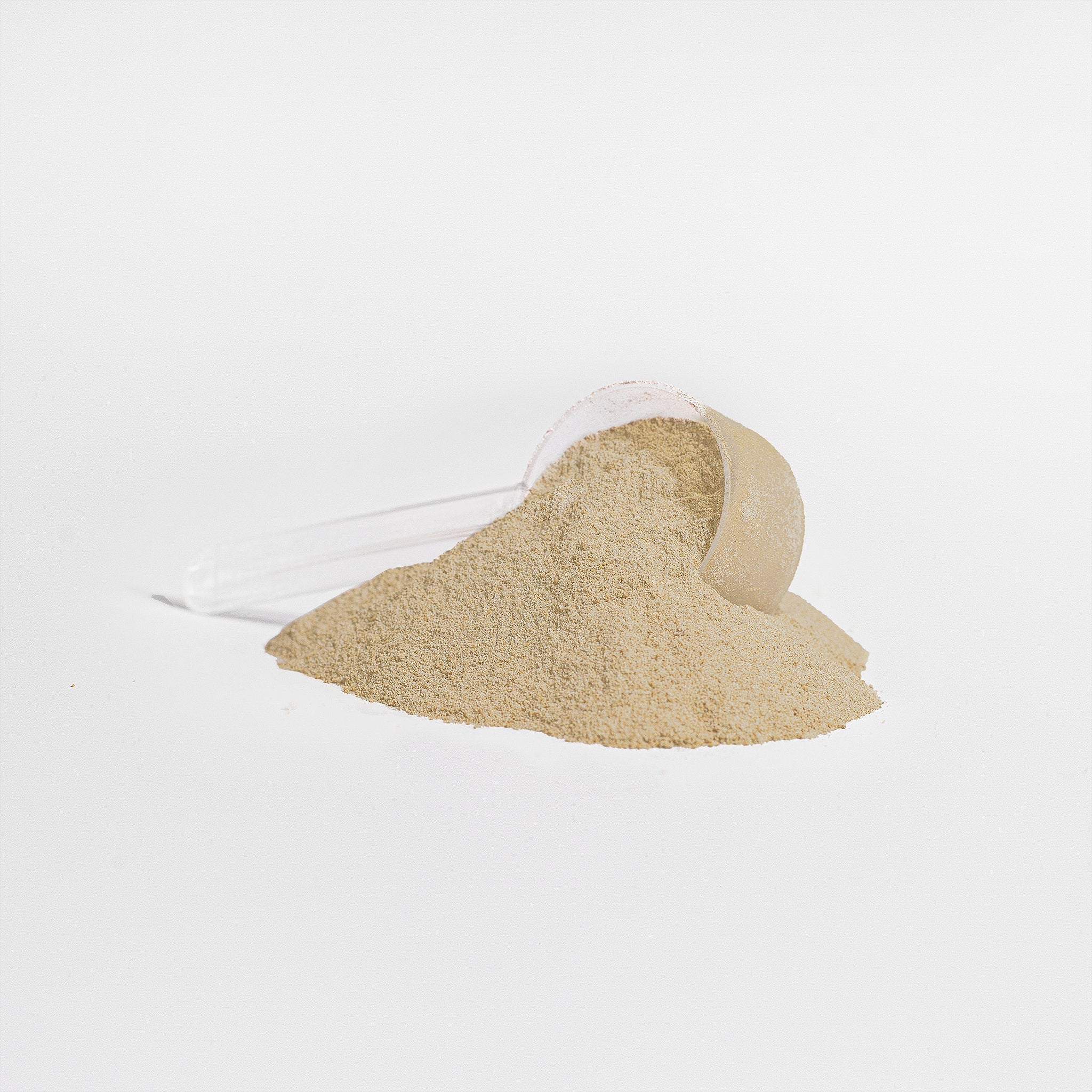 Vanilla Plant Protein Powder