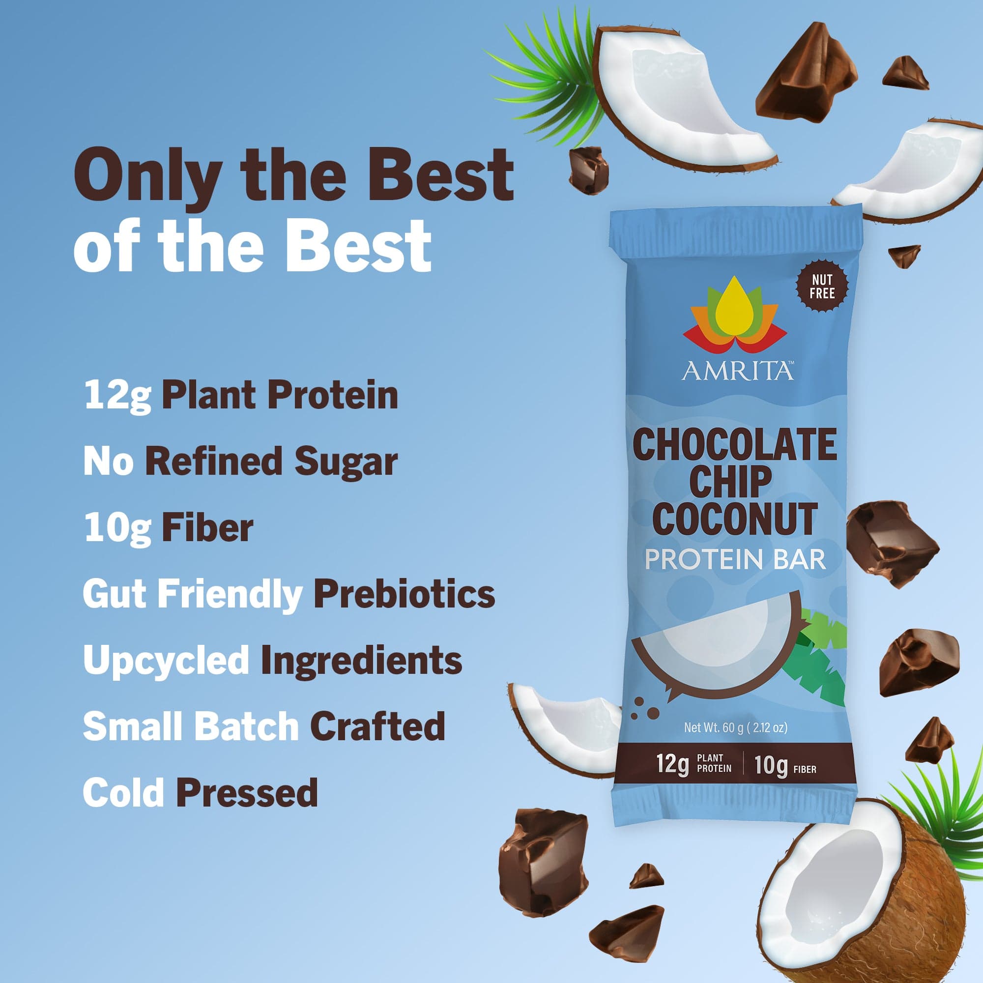 Chocolate Chip Coconut